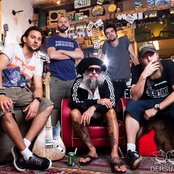 Jaya The Cat - List pictures