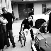 Face To Face - List pictures