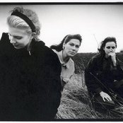 Breeders - List pictures