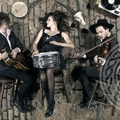 The Veils - List pictures