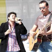 Elefante - List pictures