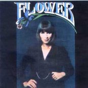 Flower - List pictures