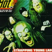 Strapping Young Lad - List pictures