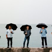 Tortoise - List pictures