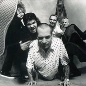 Snot - List pictures