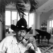 Clarence "gatemouth" Brown - List pictures