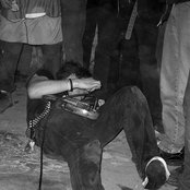 Night Birds - List pictures