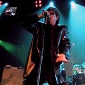 Alan Vega - List pictures