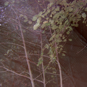 Fear Of Men - List pictures