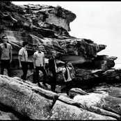 Amy Meredith - List pictures