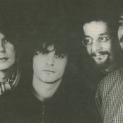 Seahorses - List pictures