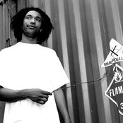 Doc Gyneco - List pictures