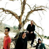 Puddle Of Mudd - List pictures