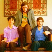 Liars - List pictures