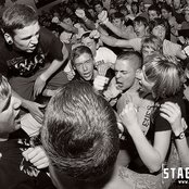 50 Lions - List pictures