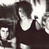 Balaam And The Angel - List pictures