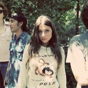 Kitten - List pictures