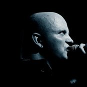 Leaether Strip - List pictures