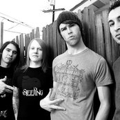 Odd Project - List pictures