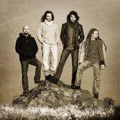 Pain Of Salvation - List pictures