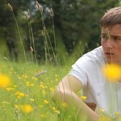 Dermot Kennedy - List pictures