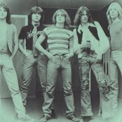 Forest - List pictures