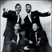 Wrens - List pictures