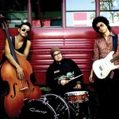 Serengeti - List pictures