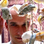 Aes Dana - List pictures