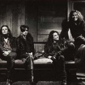 Baby Animals - List pictures