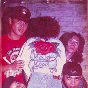 Slank - List pictures