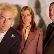 The Damage Manual - List pictures