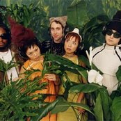 Cibo Matto - List pictures