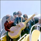 Monkeys - List pictures