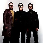 Moenia - List pictures