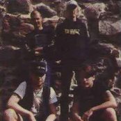 Storm - List pictures