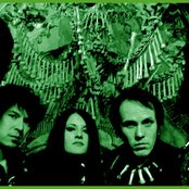 The Fuzztones - List pictures