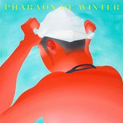 Pharaon De Winter - List pictures