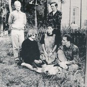 Field Mice - List pictures