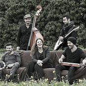 Firelight - List pictures