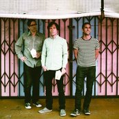 Vertical Scratchers - List pictures