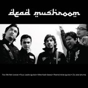Dead Mushroom - List pictures