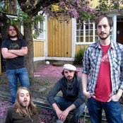 Beardfish - List pictures