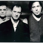 The Wolfgang Press - List pictures