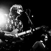 Miniature Tigers - List pictures