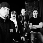 Taproot - List pictures