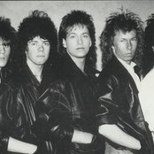 Lion's Share - List pictures