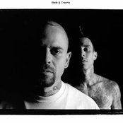 Transplants - List pictures