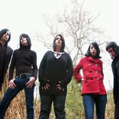 Scarling - List pictures