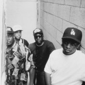 Nwa - List pictures